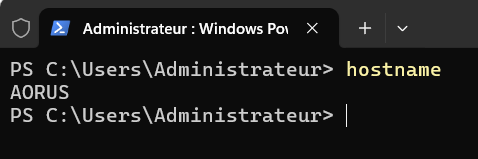 Capture d'écran